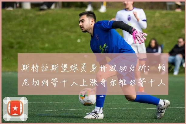 斯特拉斯堡球员身价波动分析：帕尼切利等十人上涨奇尔维尔等十人下滑
