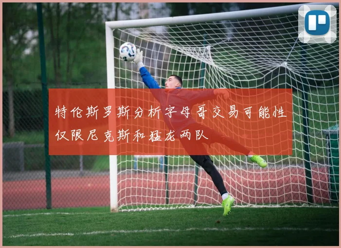 特伦斯罗斯分析字母哥交易可能性仅限尼克斯和猛龙两队